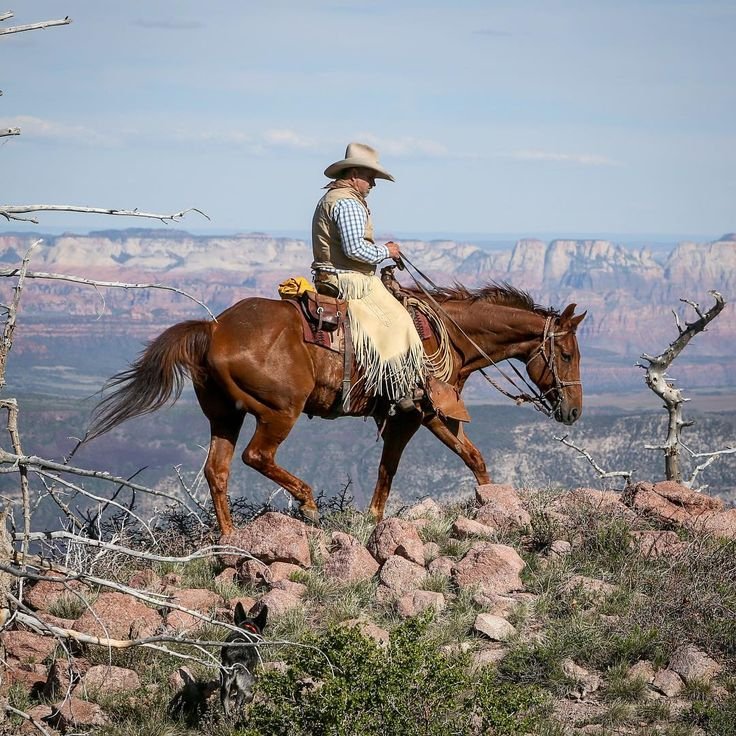 arrival-in-the-american-west